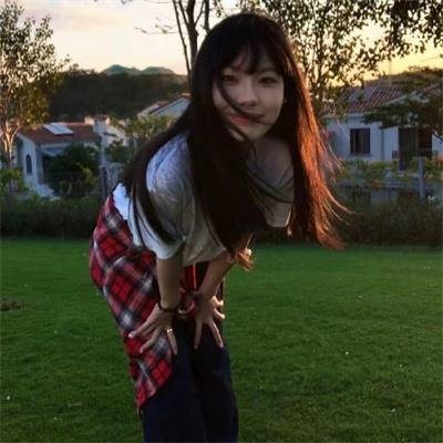 大毛狗